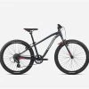 BICICLETA INFANTIL ORBEA MX 24 DIRT 2023 -Tienda De Bicicletas bicicleta infantil orbea mx dirt