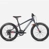 BICICLETA INFANTIL ORBEA MX 20 DIRT 2023 -Tienda De Bicicletas bicicleta infantil orbea mx dirt 1 1