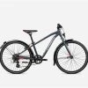 BICICLETA INFANTIL ORBEA MX 24 PARK 2023 -Tienda De Bicicletas bicicleta infantil orbea mx park 1 1